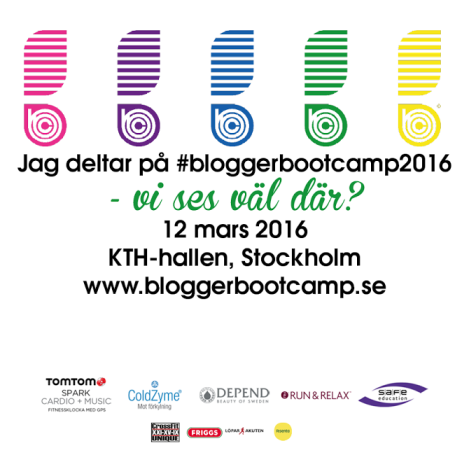 Blogger Boot Camp 2016