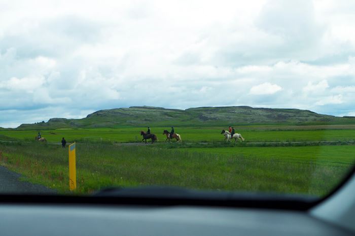 Utsikten när vi åkte bil på Island
